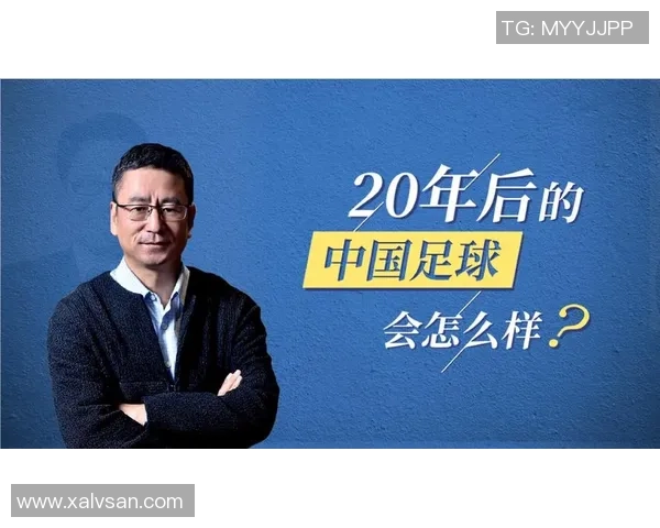 白岩松足球经典解读：从赛场到人生的智慧与启示