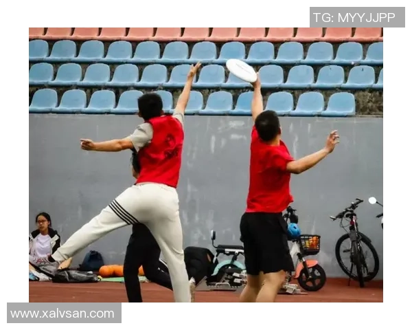 飞盘竞技的魅力与挑战：探寻北京飞盘队的战术与团队协作之道