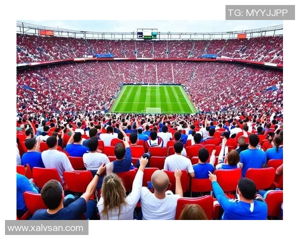 伪足球球迷的真实面貌与热爱背后的故事揭秘