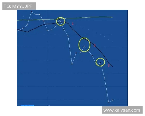 杭州极限运动队战术分析与盯防策略的得失评估 杭州极限运动队战术分析与盯防策略的得失评估