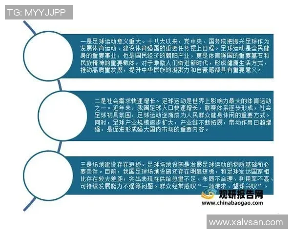 贩卖足球料的市场现状与发展趋势分析及其对足球产业的影响